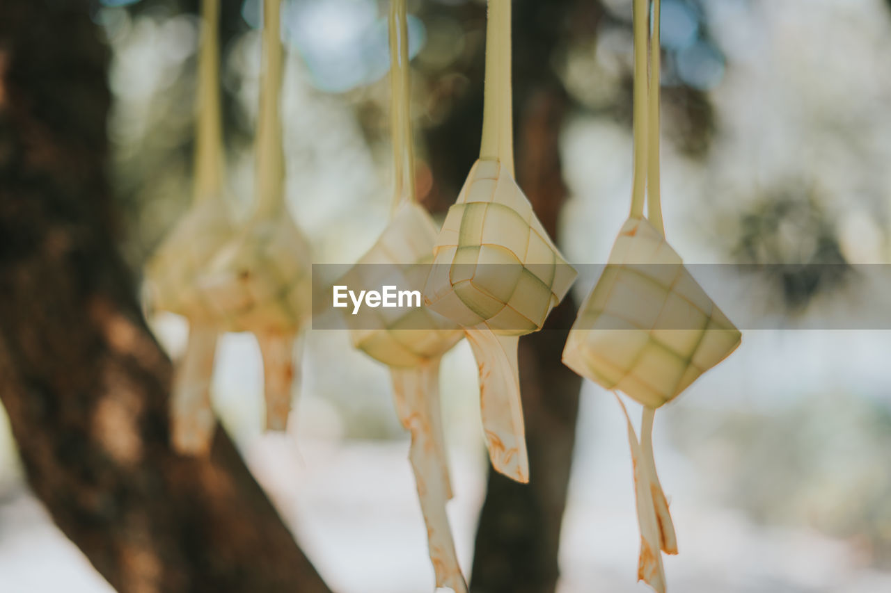 Close-up of ketupat hanging against blurred background