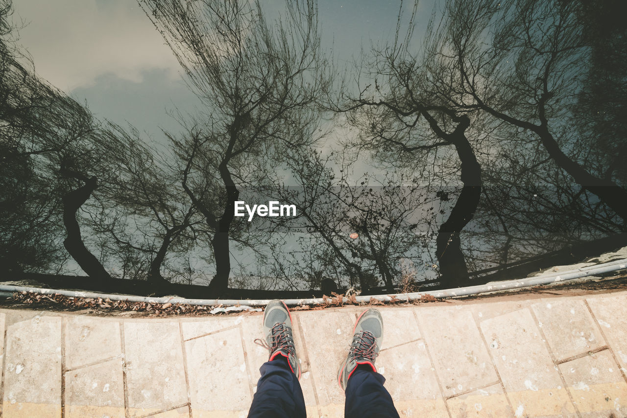 Low section of man standing by lake with trees reflecting