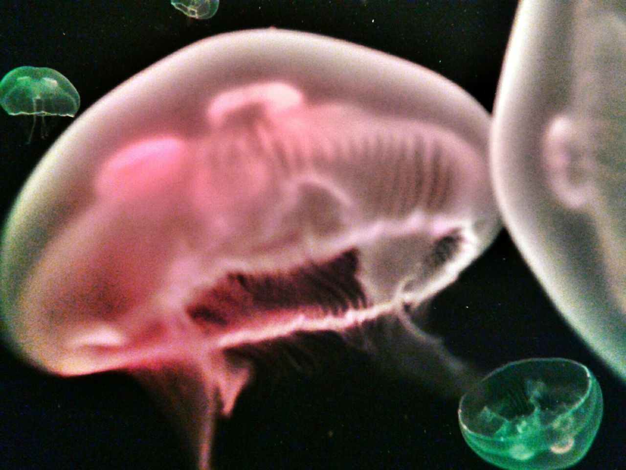 CLOSE-UP OF HUMAN HAND ON GLASS