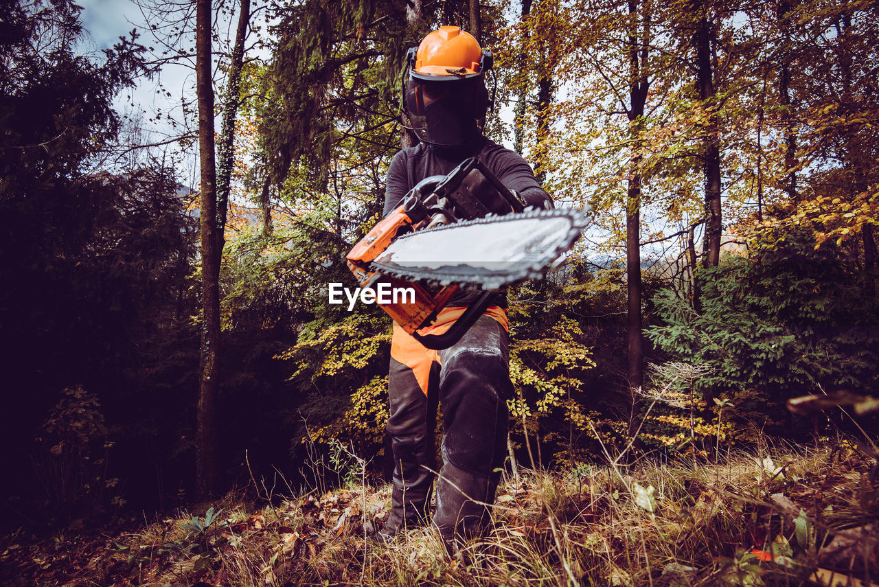 Woodcutter man in the forest - the woodcutter serie
