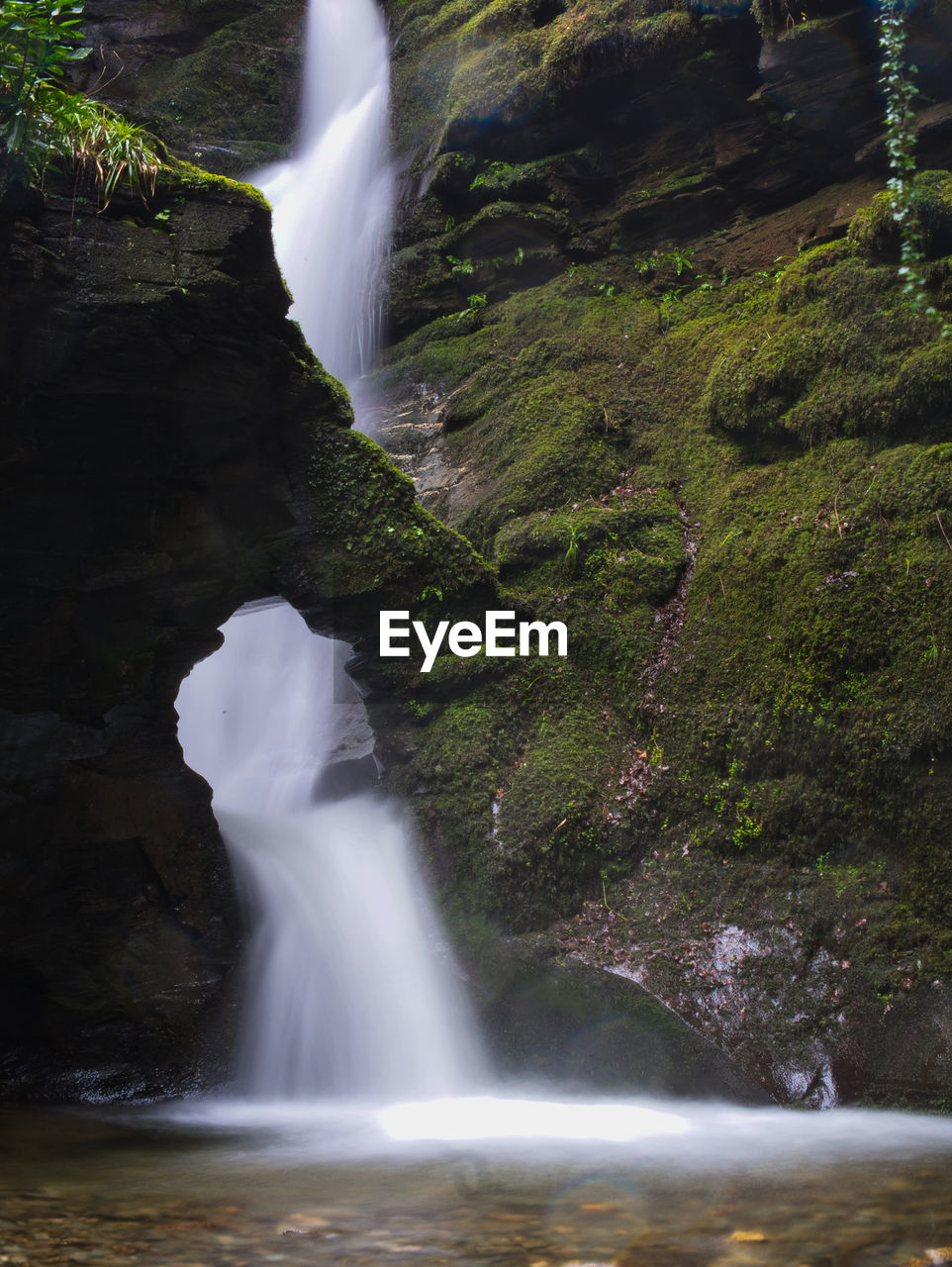 View of waterfall in forest