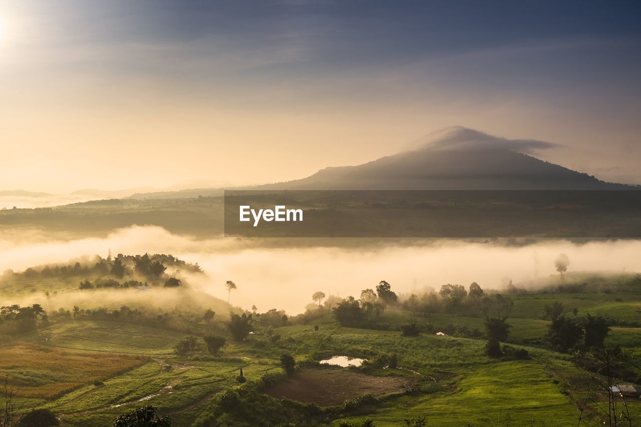 Scenic view of agricultural field against sky