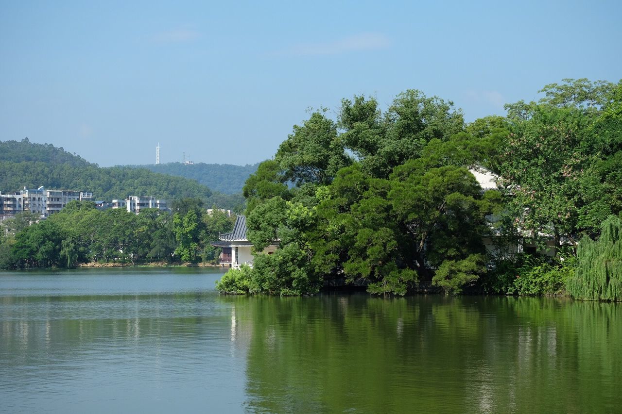 Calm lake with trees in background