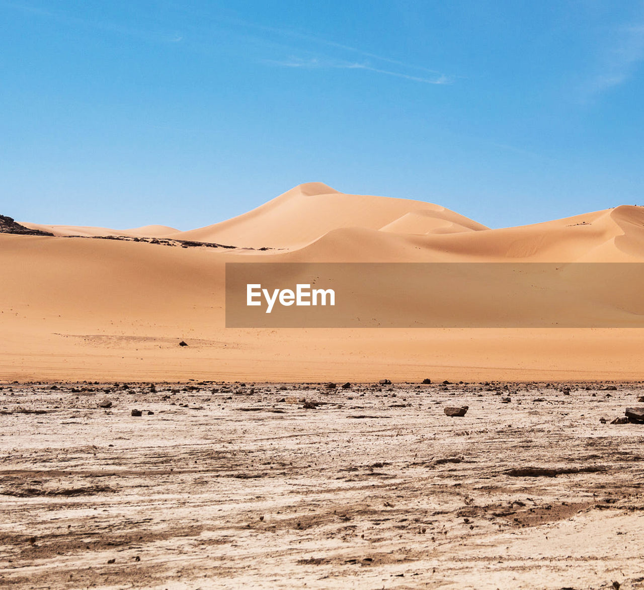 Beautiful sahara desert 