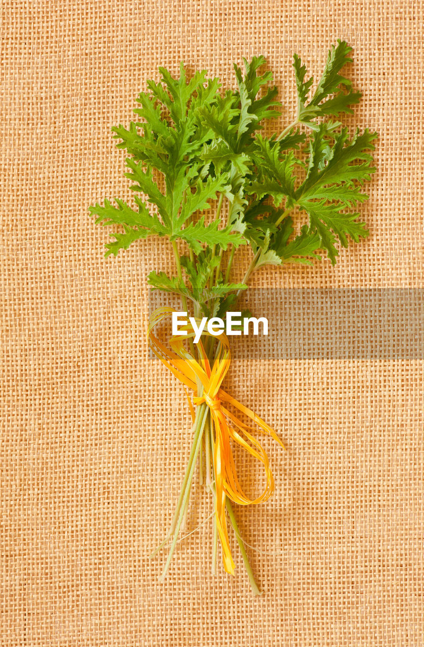 Close-up of fresh leaves on placemat