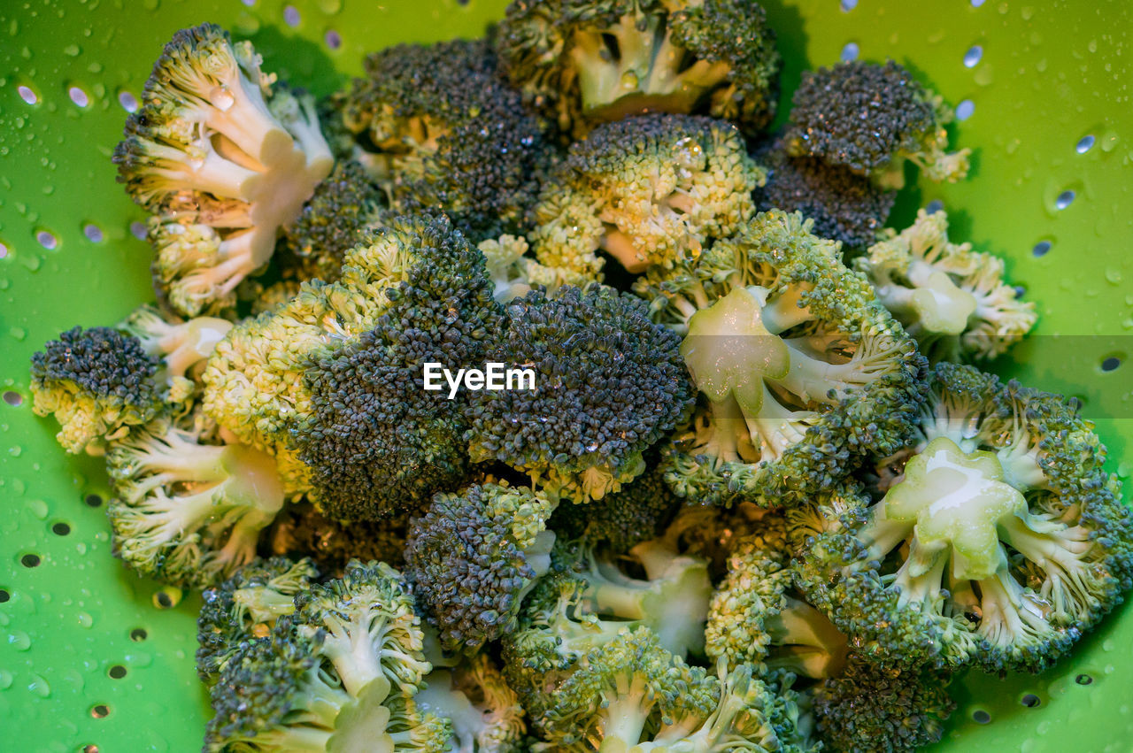 Close-up of fresh wet broccoli in green colander