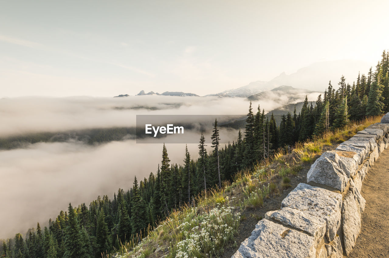 SCENIC VIEW OF TREE AND MOUNTAINS AGAINST SKY