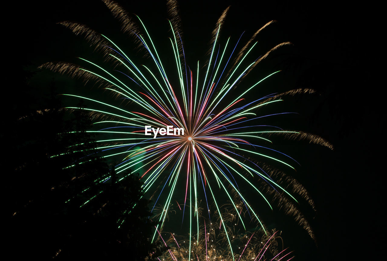 Low angle view of firework display at night