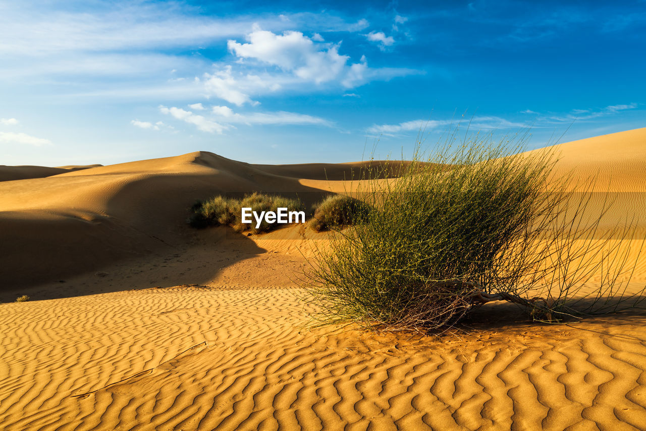 Sand dunes in desert