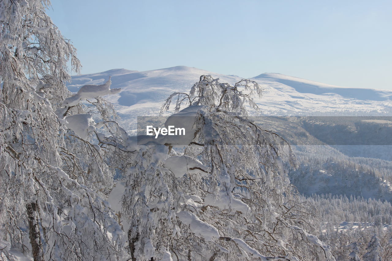 Scenic view of snowcapped mountains against clear sky