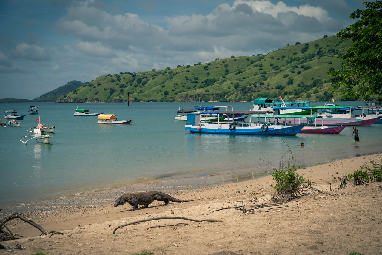 BOATS MOORED ON SHORE AGAINST SKY