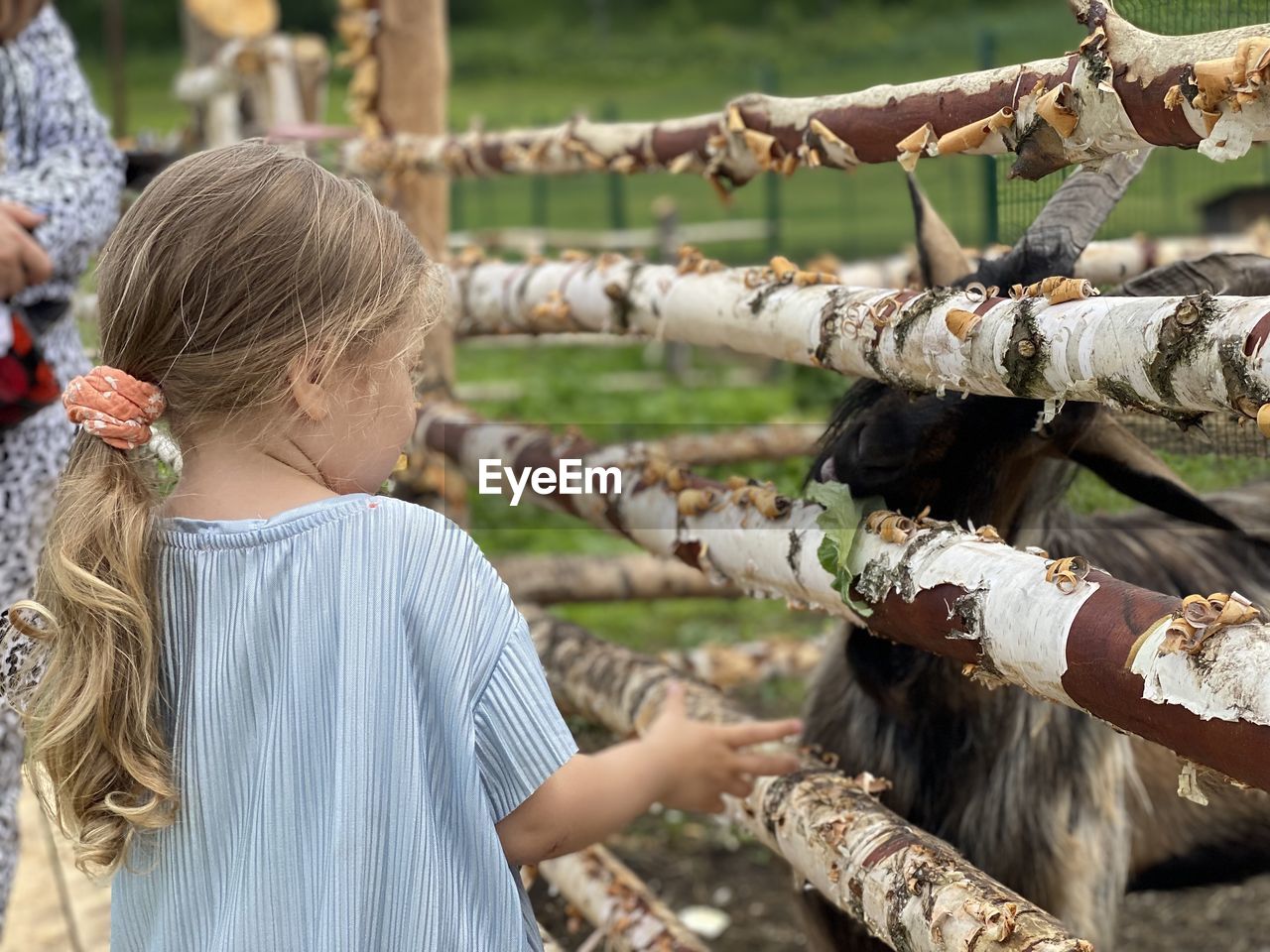 Close-up of girl holding wood