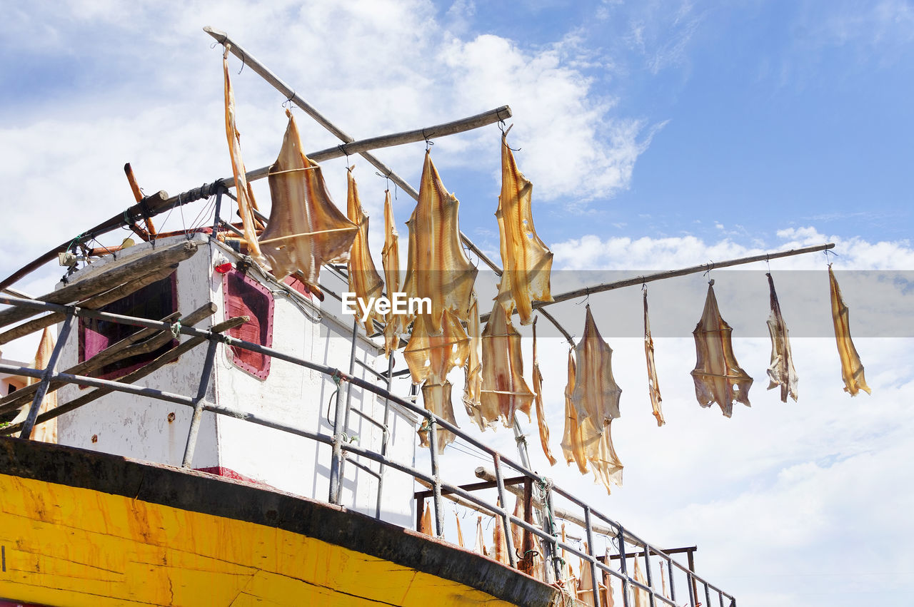 Low angle view of fish drying on boat