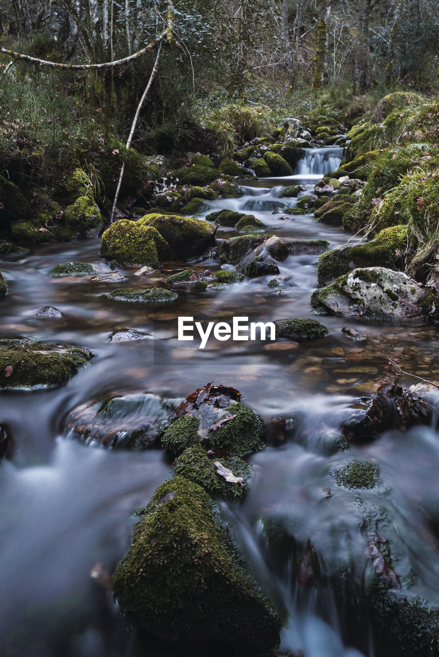 VIEW OF STREAM FLOWING THROUGH ROCKS IN FOREST