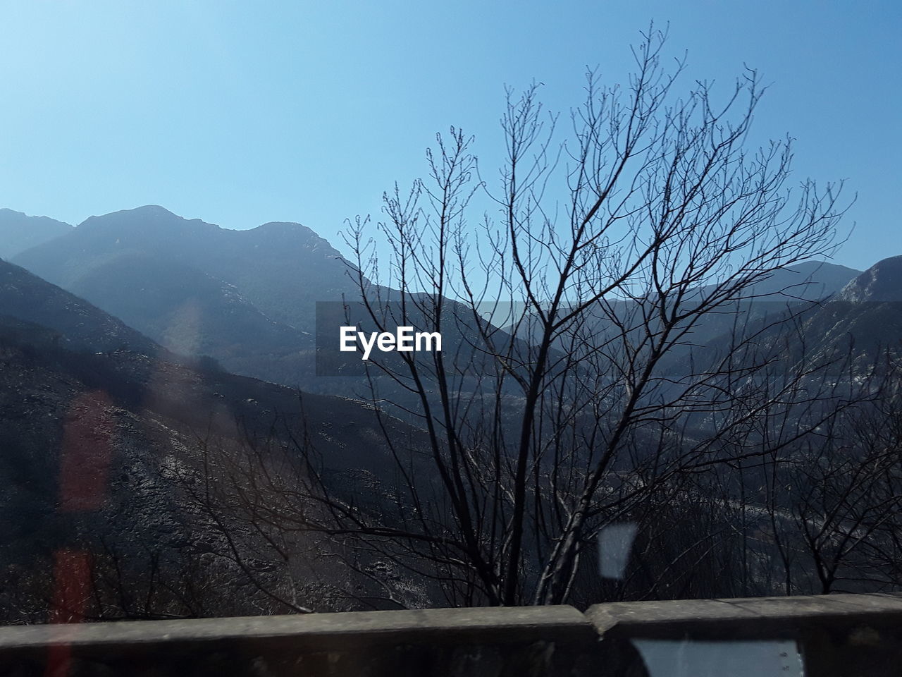 BARE TREE AGAINST MOUNTAIN RANGE