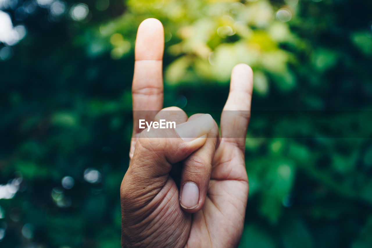 Close-up of human hand gesturing horn sign against trees