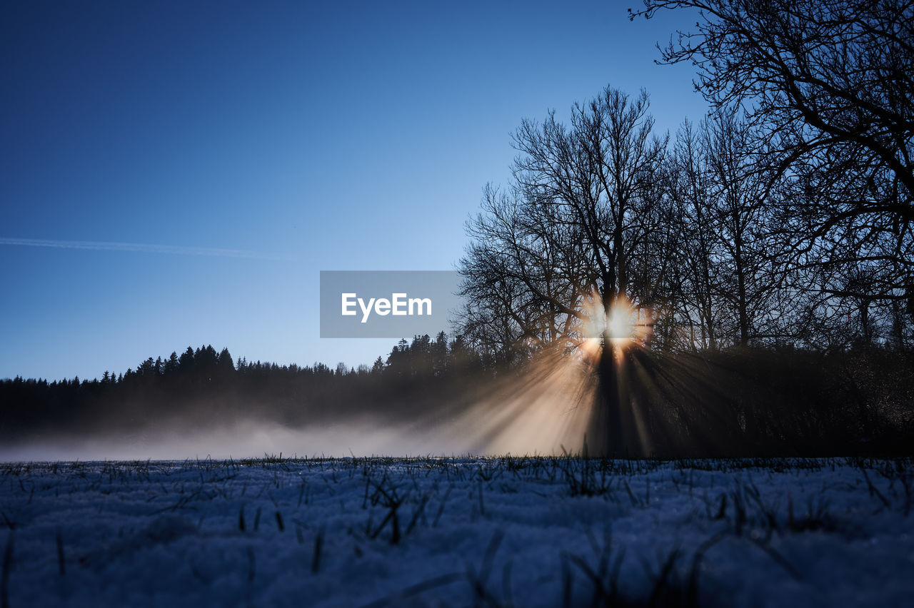 tree, winter, sky, morning, plant, sunlight, snow, nature, cold temperature, dawn, environment, landscape, scenics - nature, beauty in nature, sunrise, light, tranquility, no people, land, tranquil scene, sun, reflection, blue, cloud, frozen, non-urban scene, freezing, darkness, outdoors, twilight, forest, lens flare, clear sky, sunbeam, ice, rural scene, field, horizon, frost, bare tree, idyllic