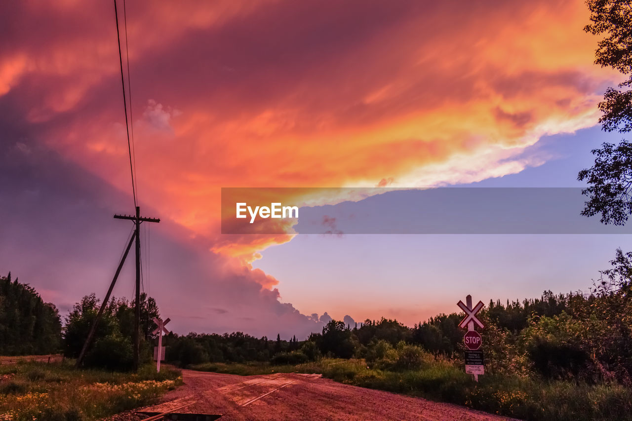 ROAD AMIDST PLANTS ON FIELD AGAINST SKY DURING SUNSET