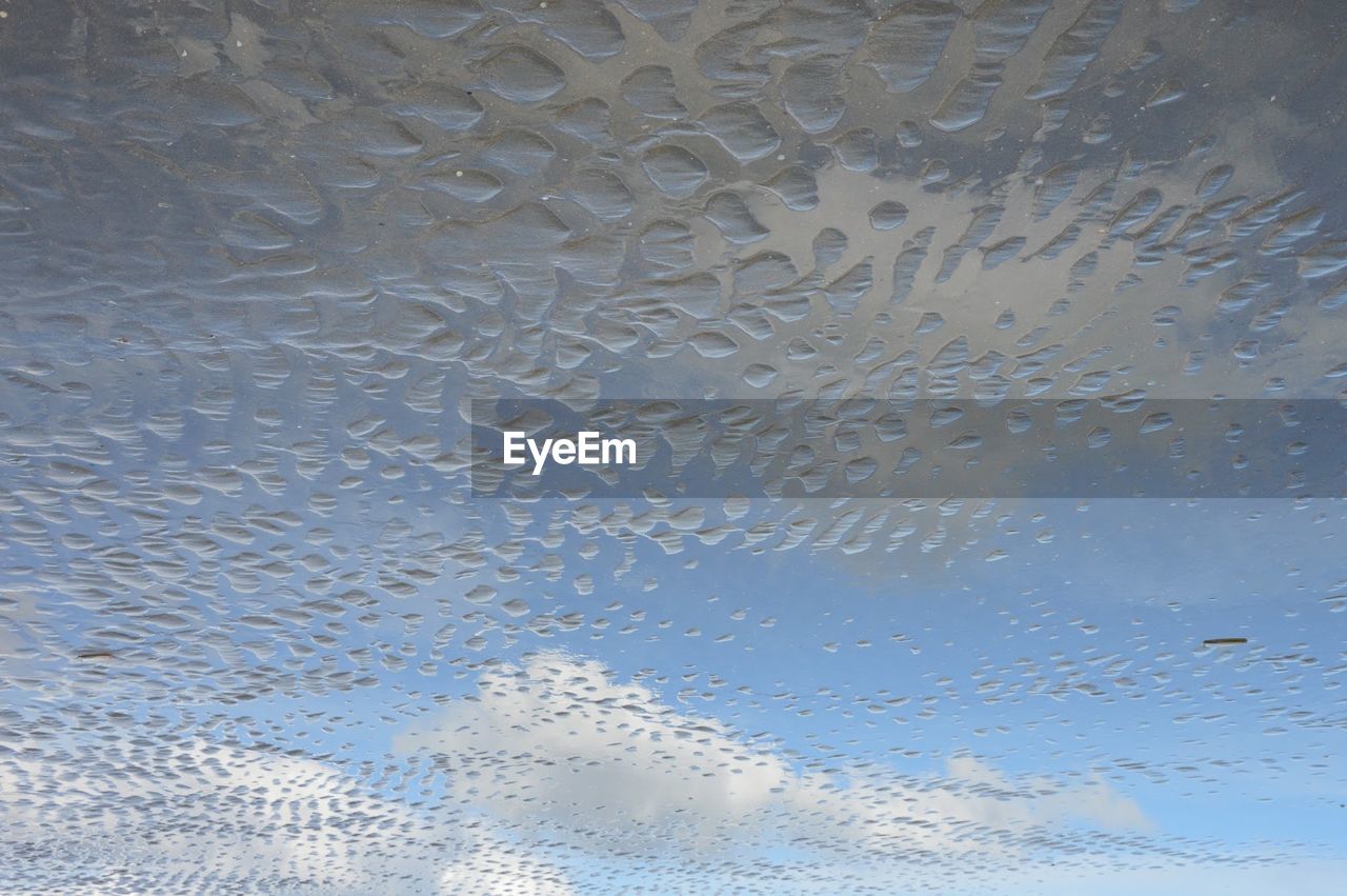 Close-up of water drops on leaf