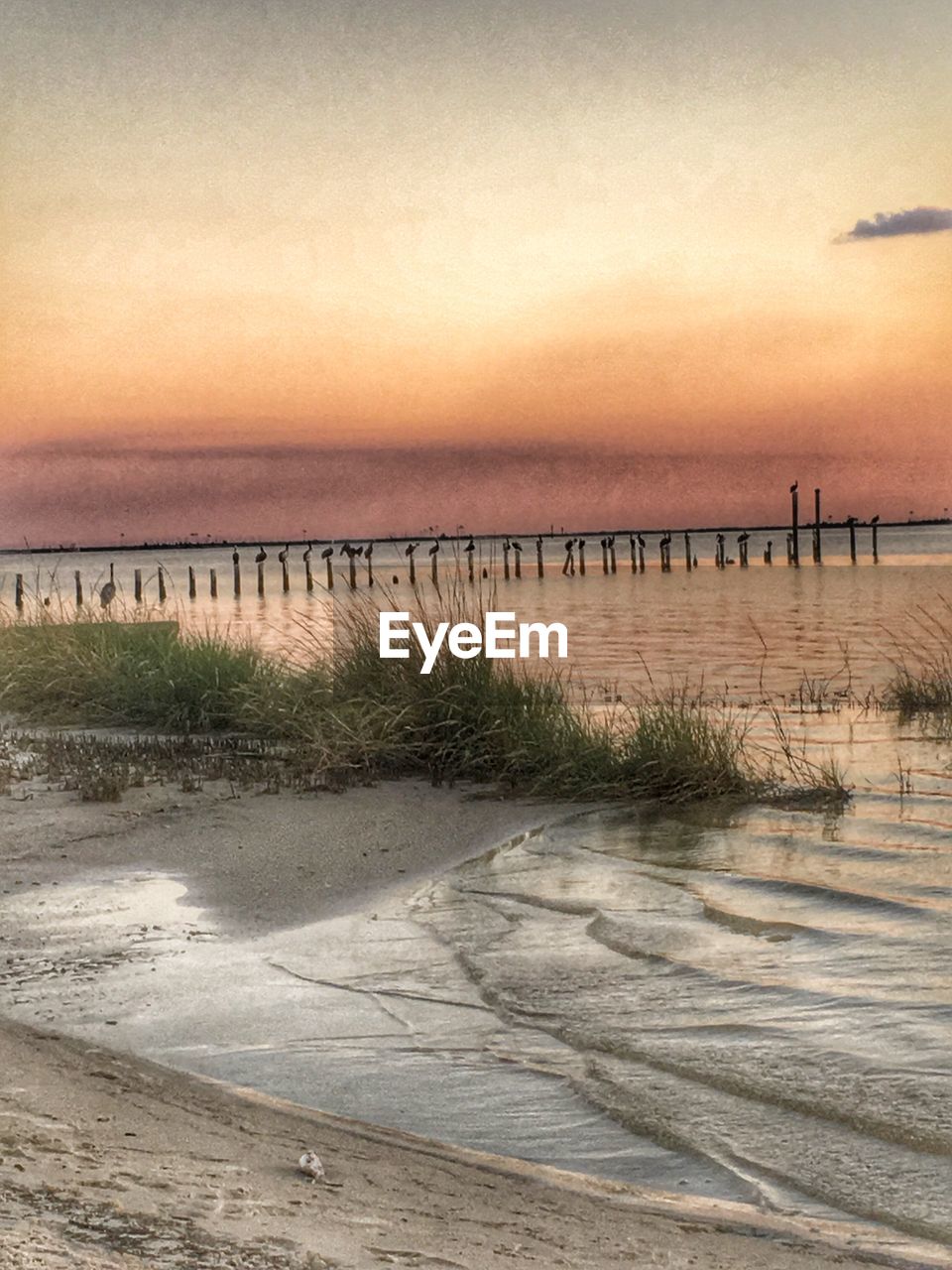 SCENIC VIEW OF CALM BEACH AT SUNSET