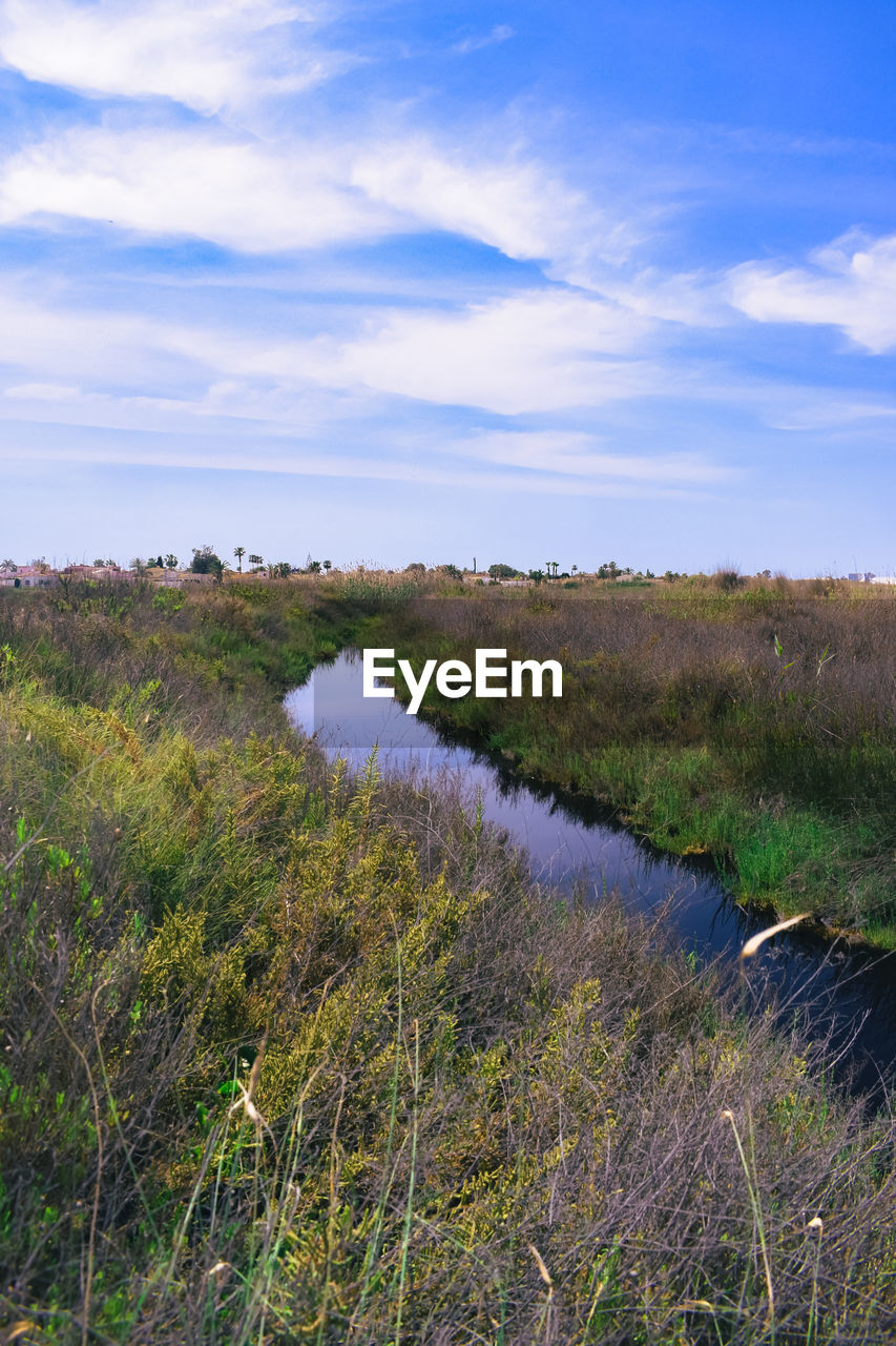 A canal and salt marsh vegetation