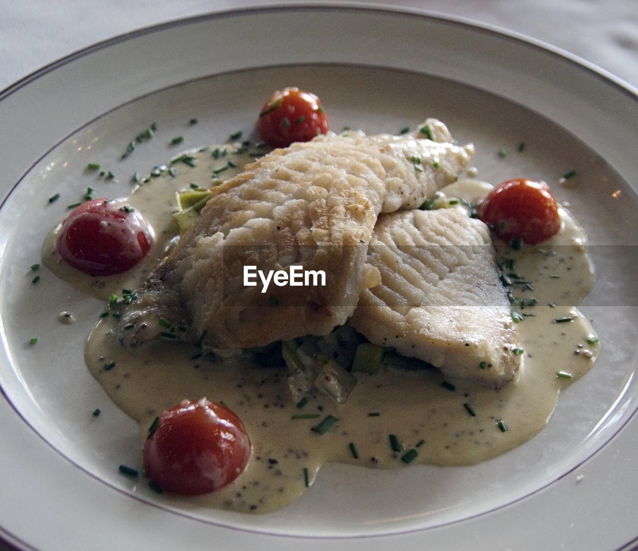 CLOSE-UP OF SERVED FOOD IN PLATE