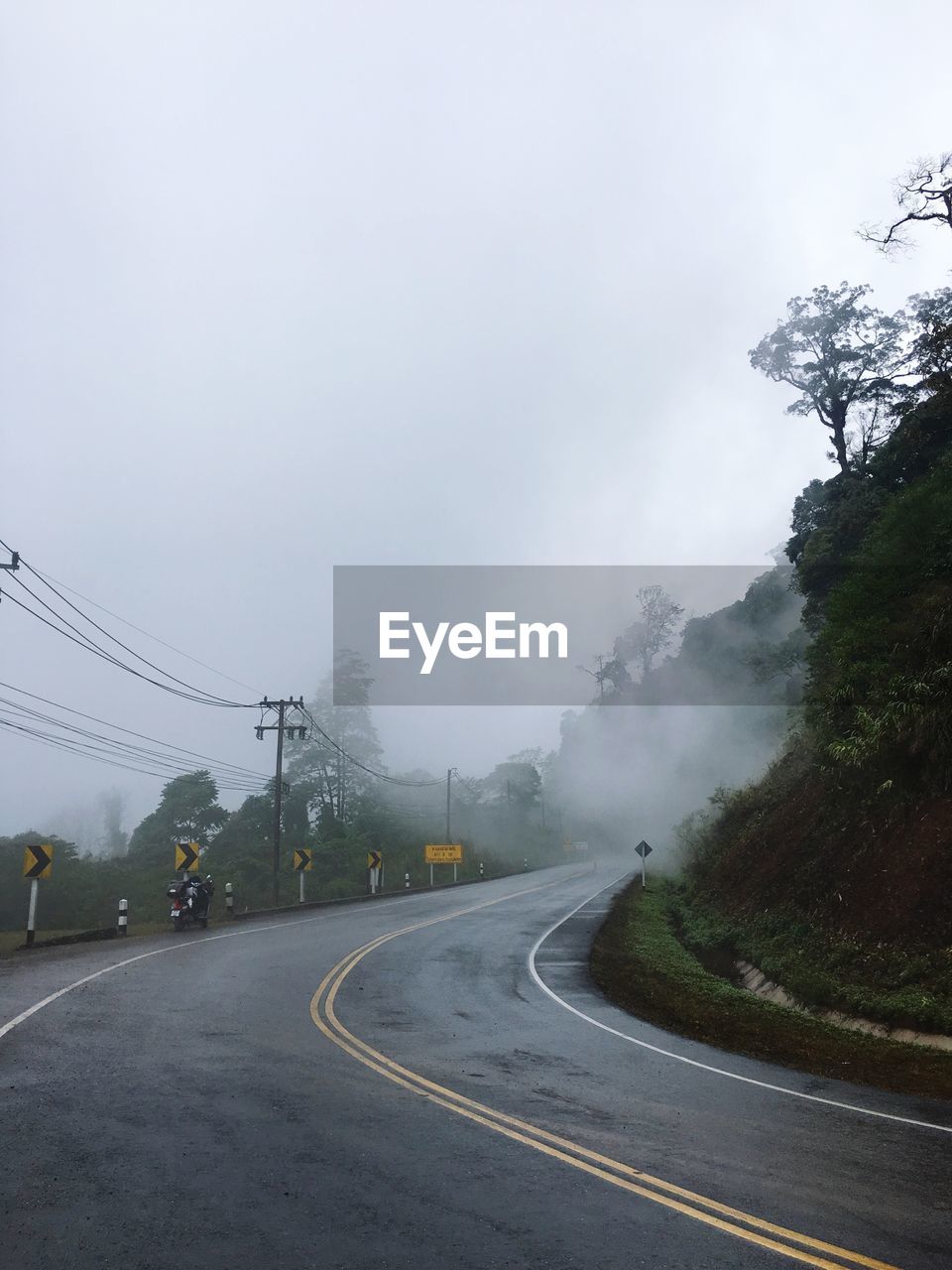 ROAD BY TREES AGAINST SKY IN FOG