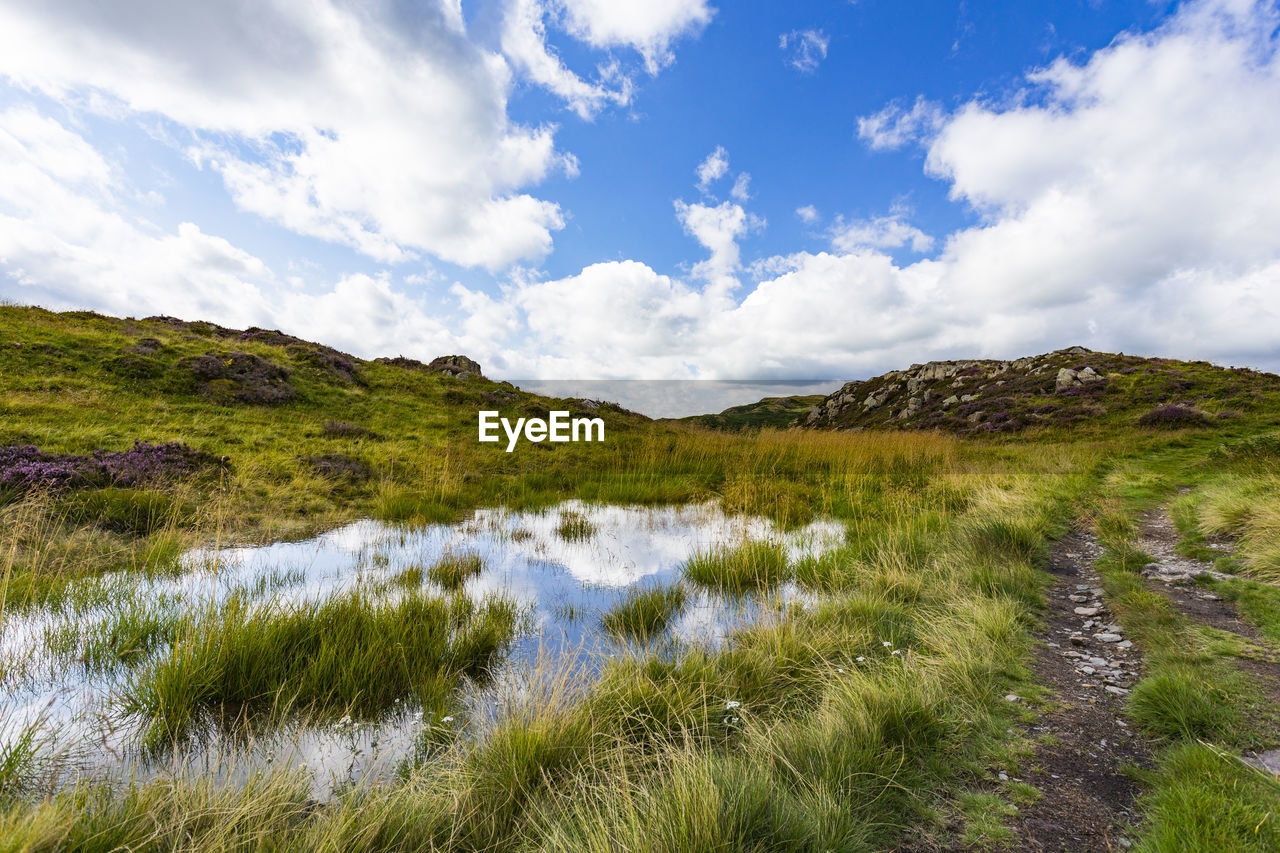 Scenic view of green landscape against sky