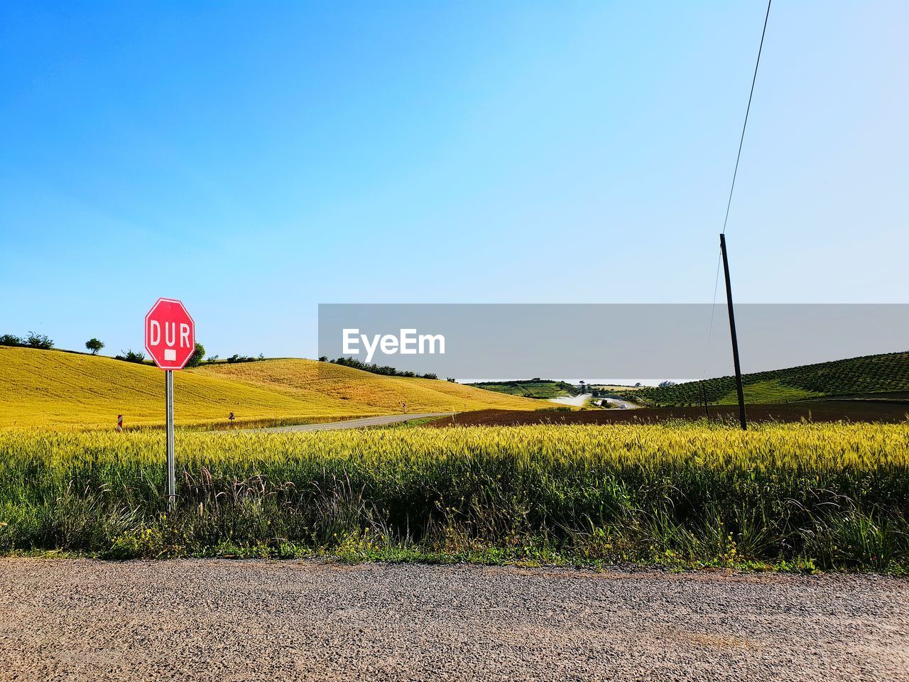 ROAD SIGN ON FIELD