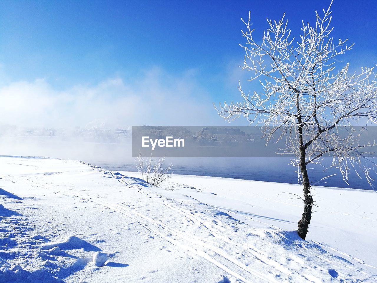 Bare tree on snow covered landscape against blue sky