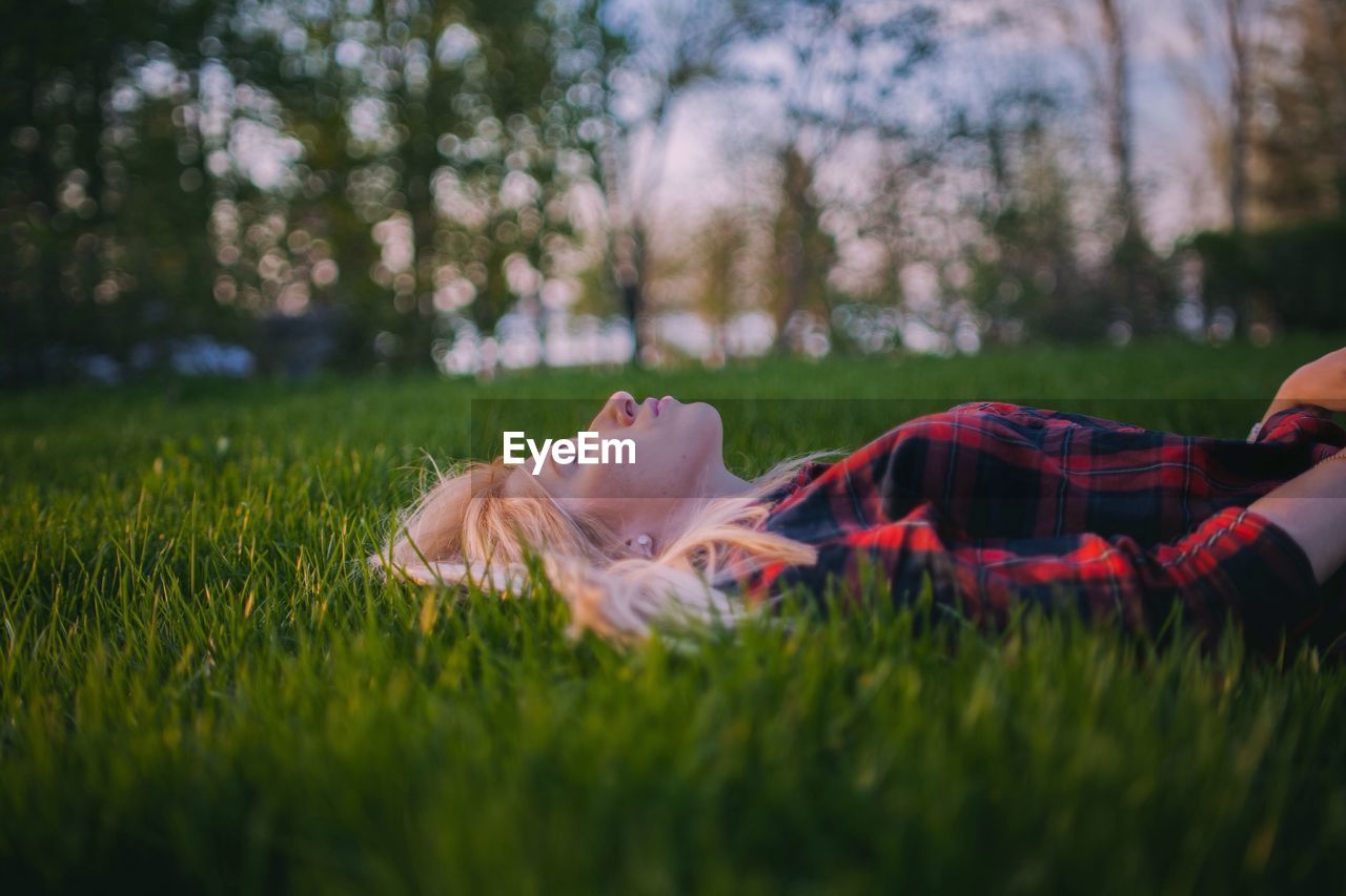 PORTRAIT OF A DOG ON GRASSY FIELD