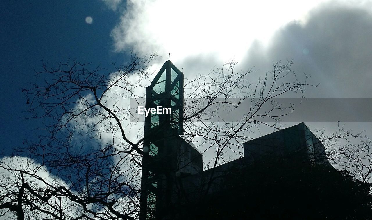 LOW ANGLE VIEW OF SILHOUETTE ON TREE AGAINST SKY