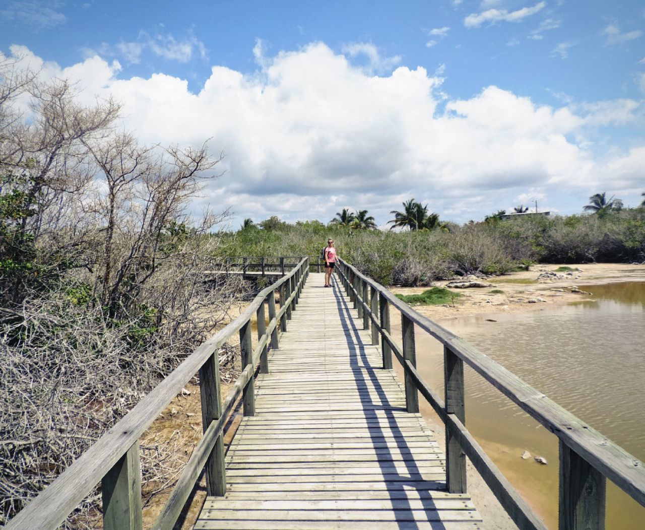 Mid distance view of woman standing on wooden pier over beach