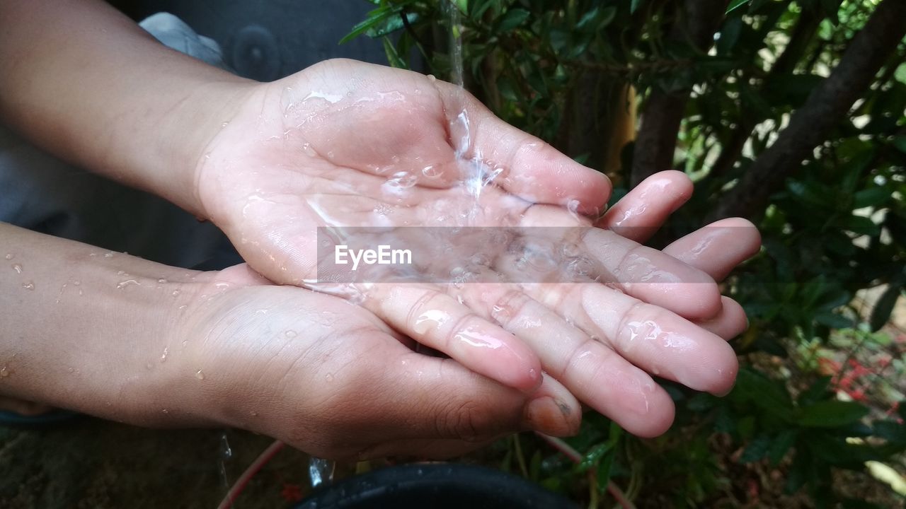 CROPPED IMAGE OF PERSON HOLDING WET LEAF