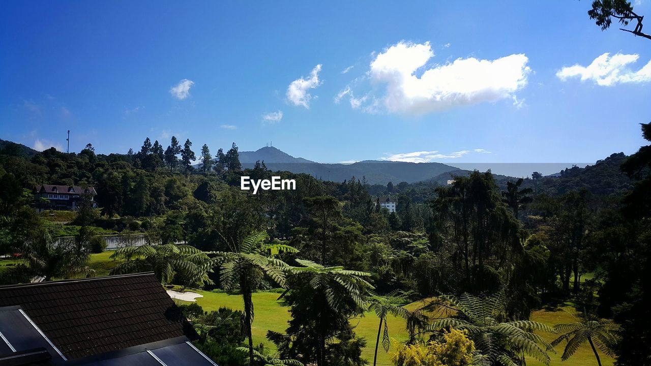 Scenic view of trees by mountains against sky