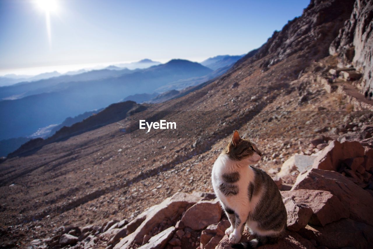 SCENIC VIEW OF MOUNTAIN RANGE