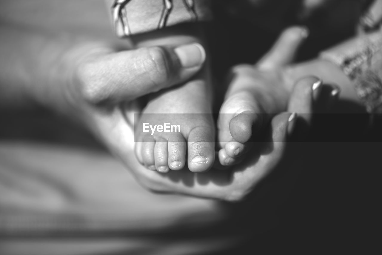 Baby feet in mother hands. tiny newborn baby's feet on female shaped hands closeup. 