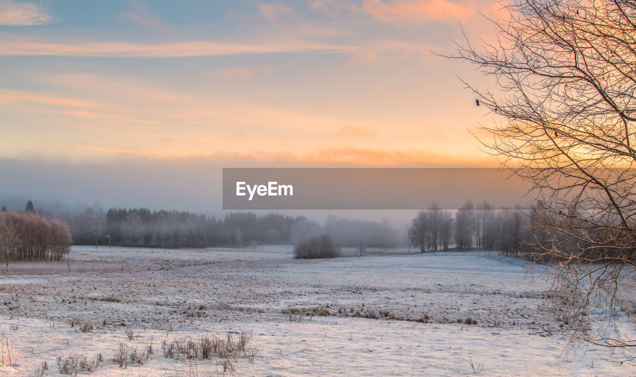 Winter landscape with a lot of snow and sunshine in central sweden.