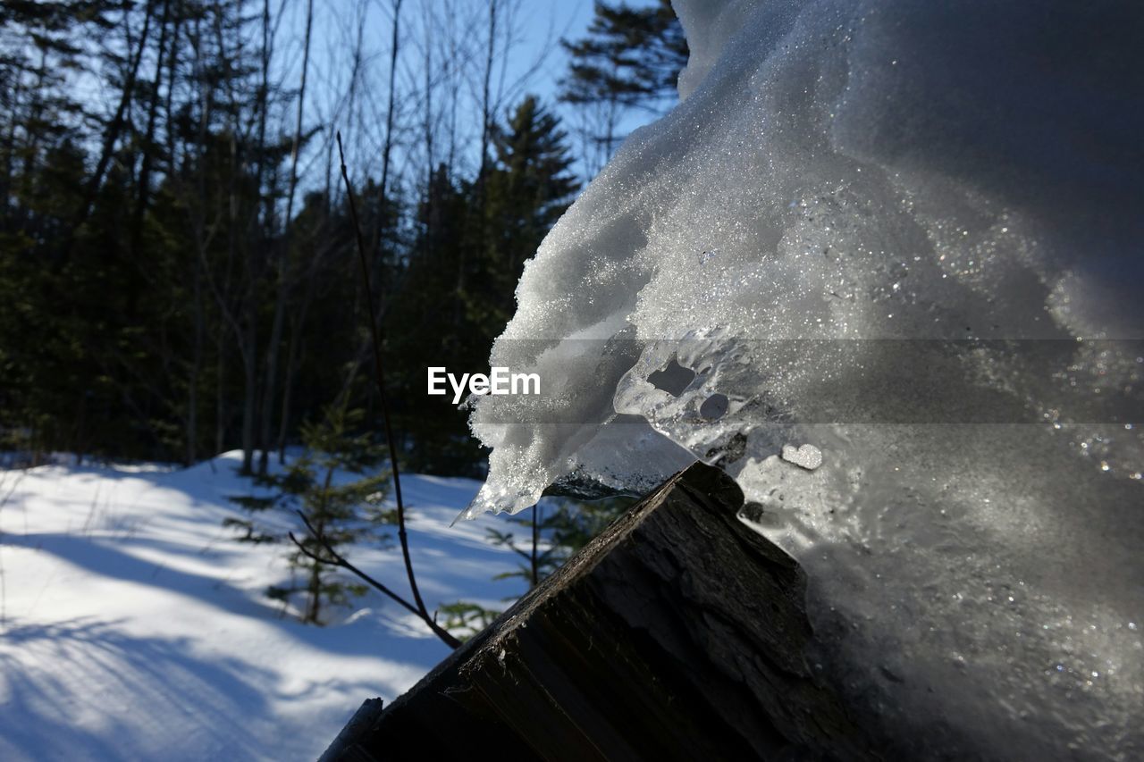 Close-up of deep snow on log