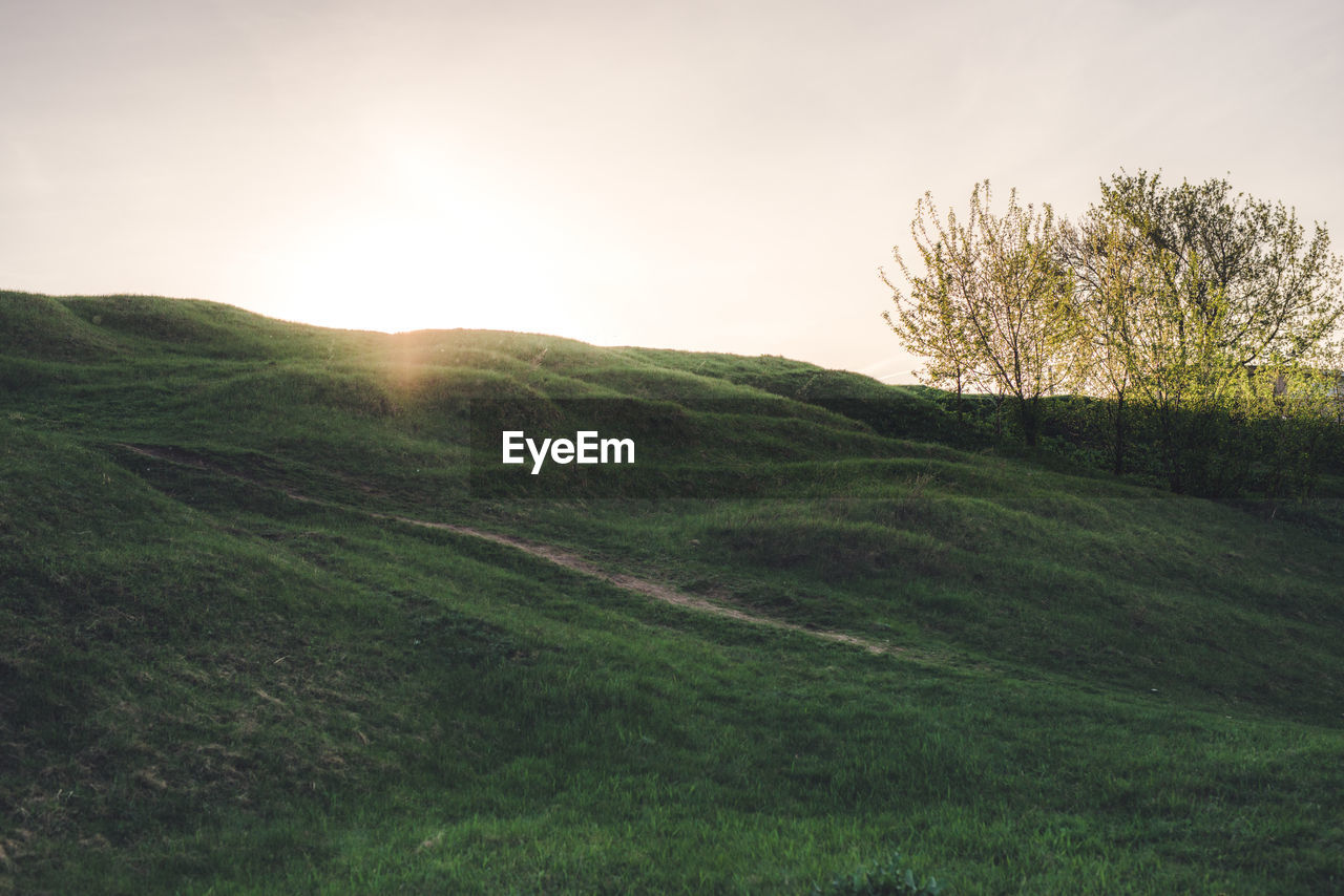 SCENIC VIEW OF LAND AGAINST SKY