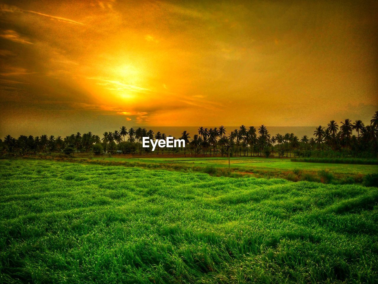 SCENIC VIEW OF LAND AGAINST SKY DURING SUNSET