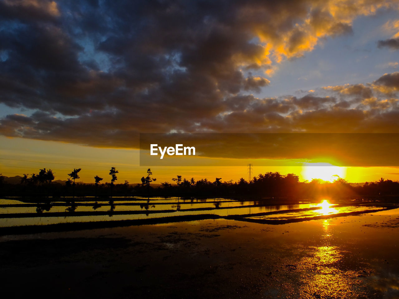 SCENIC VIEW OF SUNSET OVER SILHOUETTE TREES AGAINST SKY