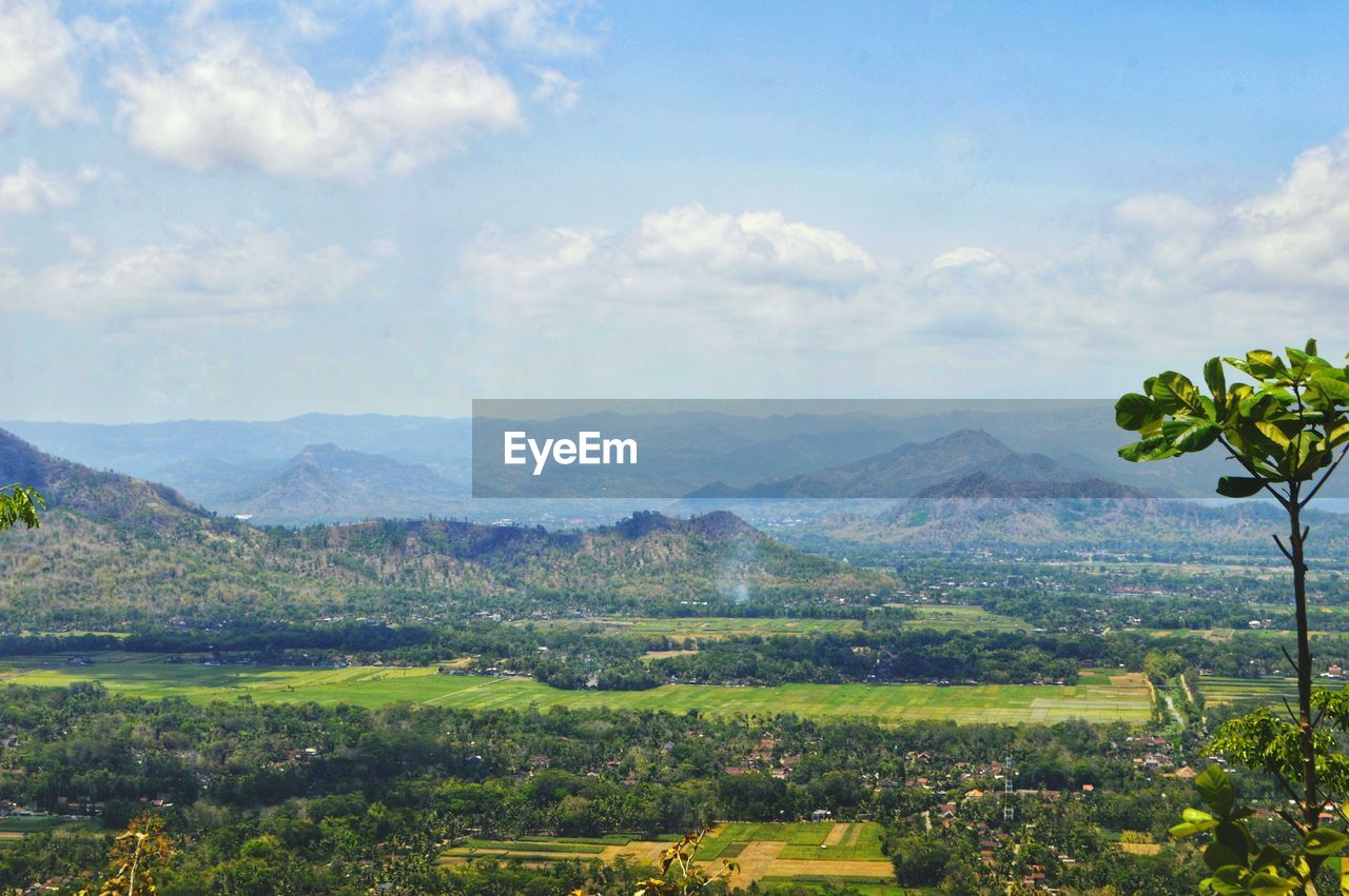 Scenic view of agricultural landscape against sky