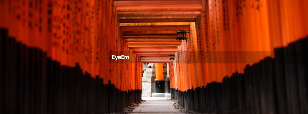 Japanese shrine, torii gates