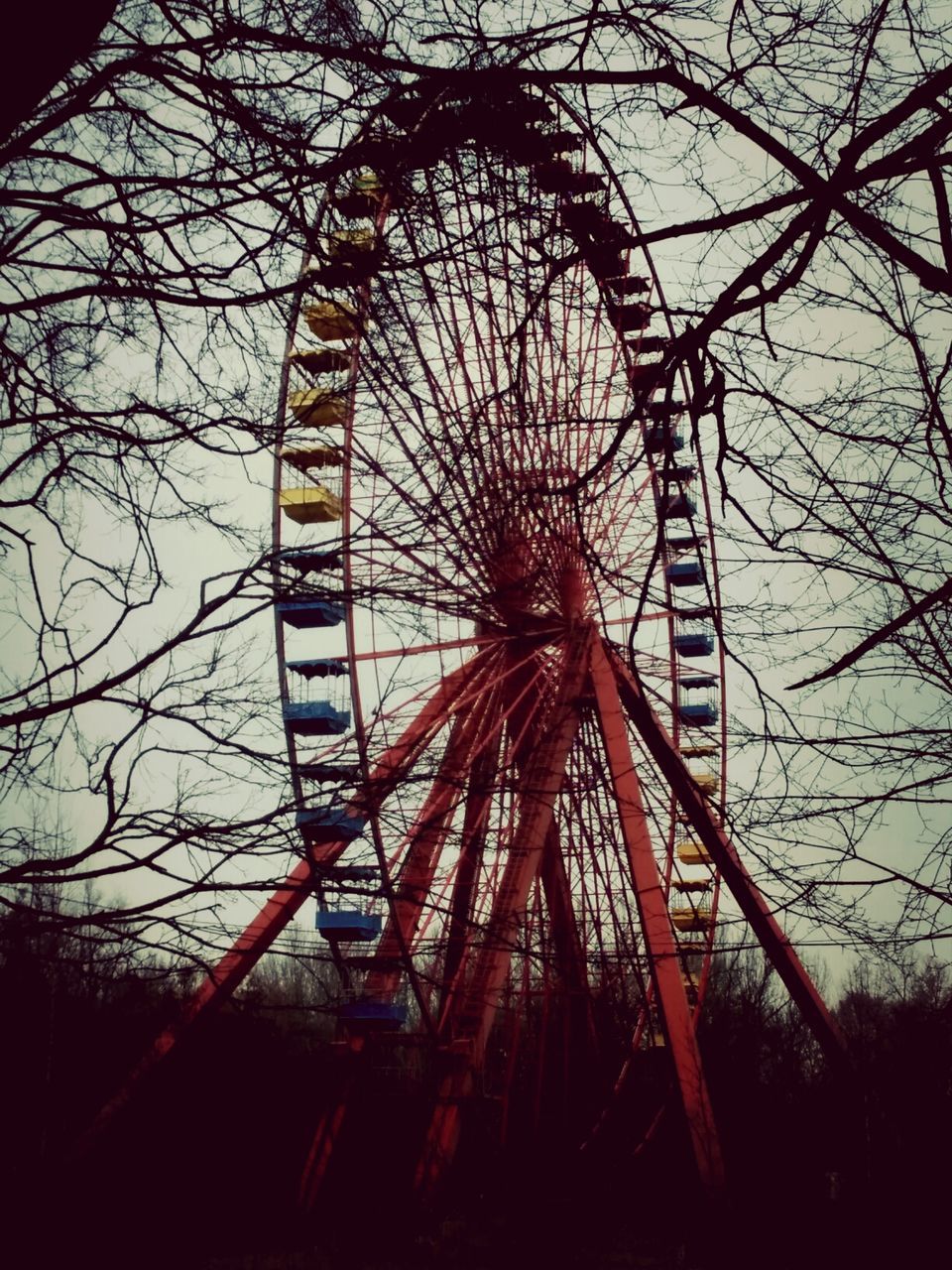 Low angle view of ferris wheel amidst bare trees against sky at dusk
