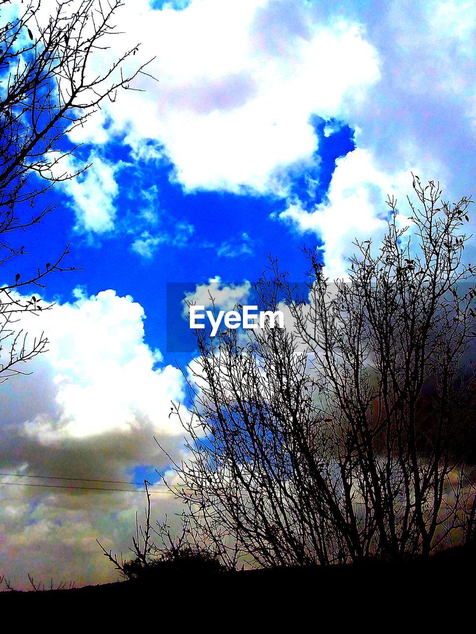 LOW ANGLE VIEW OF SILHOUETTE BARE TREES AGAINST BLUE SKY