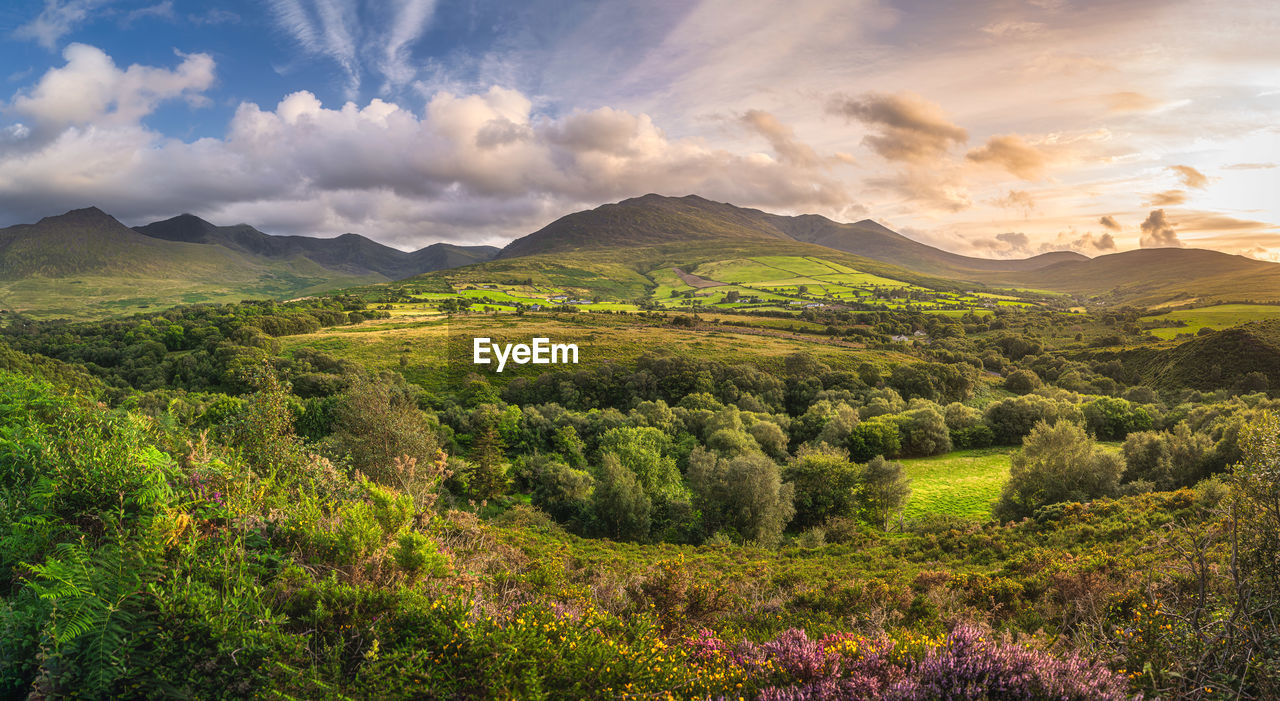 Large panorama with beautiful sunset at foothill of carrauntoohil mountain, ring of kerry, ireland