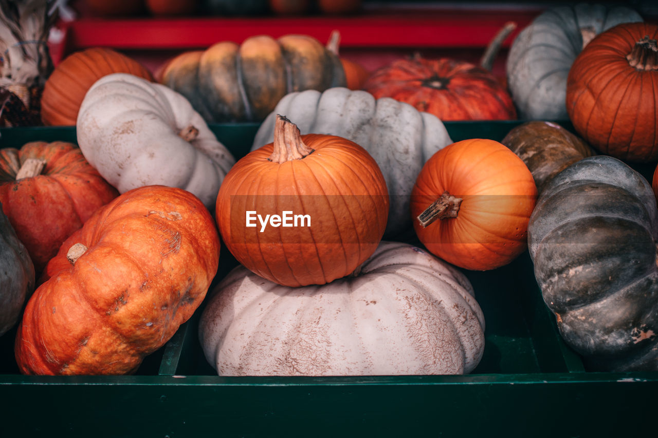 High angle view of pumpkins for sale in market