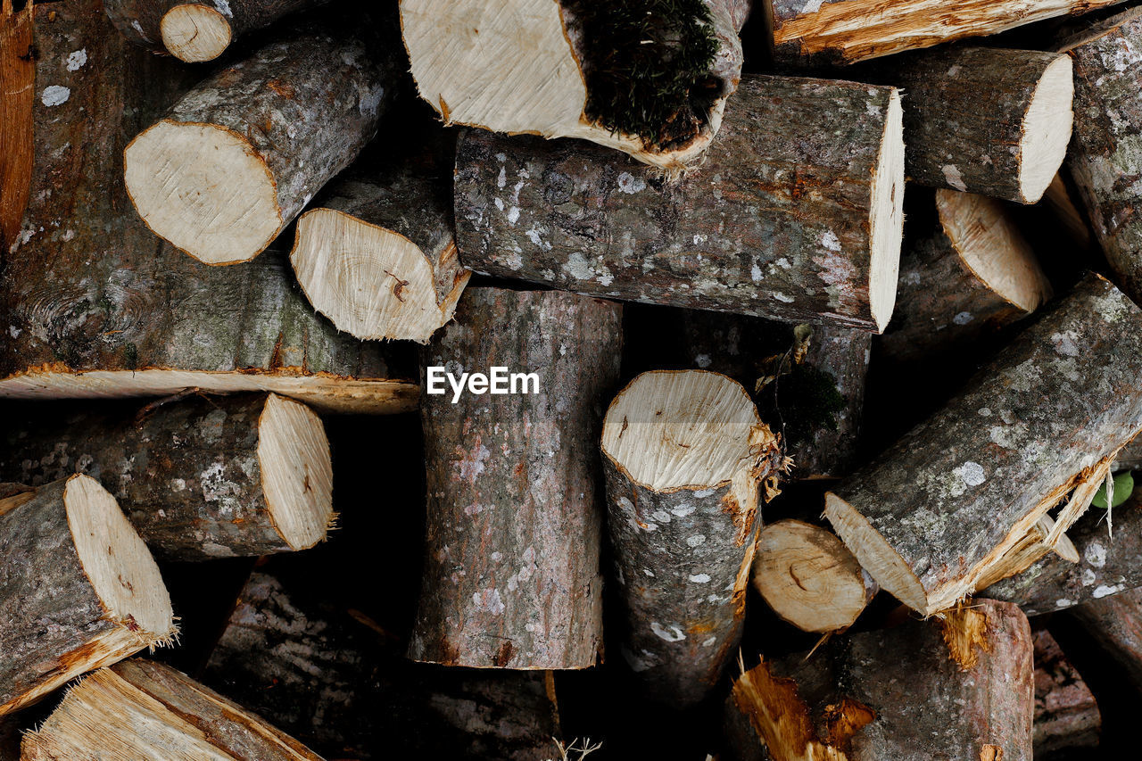 FULL FRAME SHOT OF LOGS