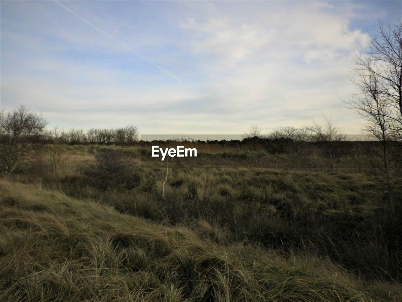 SCENIC VIEW OF LAND AGAINST SKY